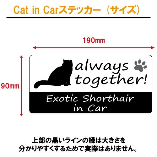 エキゾチックショートヘア exotic shorthair in Car ステッカー プリントタイプ 【Cat in Car キャット インカー 猫 シール デカール】【文字変更可】