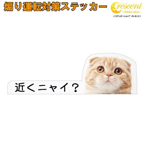 猫イラスト 追突防止 煽り運転 対策 ステッカー A-19 ねこ ネコ 妨害運転 煽り 前後方向 録画中 記録中 rec シール デカール