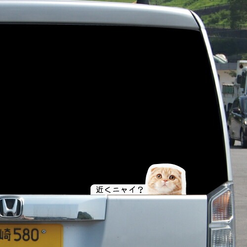 猫イラスト 追突防止 煽り運転 対策 ステッカー A-19 ねこ ネコ 妨害運転 煽り 前後方向 録画中 記録中 rec シール デカール
