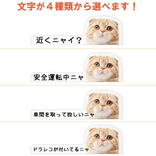 猫イラスト 追突防止 煽り運転 対策 ステッカー A-19 ねこ ネコ 妨害運転 煽り 前後方向 録画中 記録中 rec シール デカール