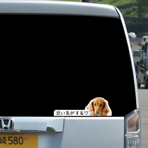 犬イラスト 追突防止 煽り運転 対策 ステッカー A-20 いぬ イヌ 妨害運転 煽り 前後方向 録画中 記録中 rec シール デカール