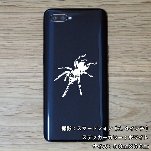 スパイダー ステッカー 01【5サイズ 全26色】【クモ くも 蜘蛛 トライバル タトゥー ちょいワル 傷隠し ヤンキー オラオラ系 かっこいい シール デカール スマホ 車 バイク ヘルメット】