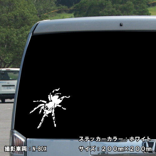 スパイダー ステッカー 01【5サイズ 全26色】【クモ くも 蜘蛛 トライバル タトゥー ちょいワル 傷隠し ヤンキー オラオラ系 かっこいい シール デカール スマホ 車 バイク ヘルメット】