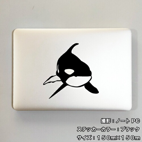 シャチ ステッカー 01【5サイズ 全26色】【オルカ キラーホエール サーフィン サーフボード トライバル タトゥー 傷隠し ヤンキー かっこいい シール デカール スマホ 車 バイク ヘルメット】
