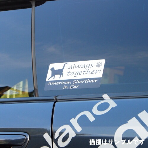 アメリカン・ボブテイル american bobtail in Car ステッカー プリントタイプ 【Cat in Car キャット インカー 猫 シール デカール】【文字変更可】