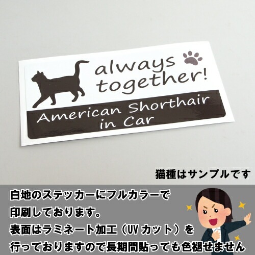 アメリカン・ショートヘア イン ハウス ステッカー 【猫 cat in house キャット シール 防犯 american shorthair】【文字変更可】