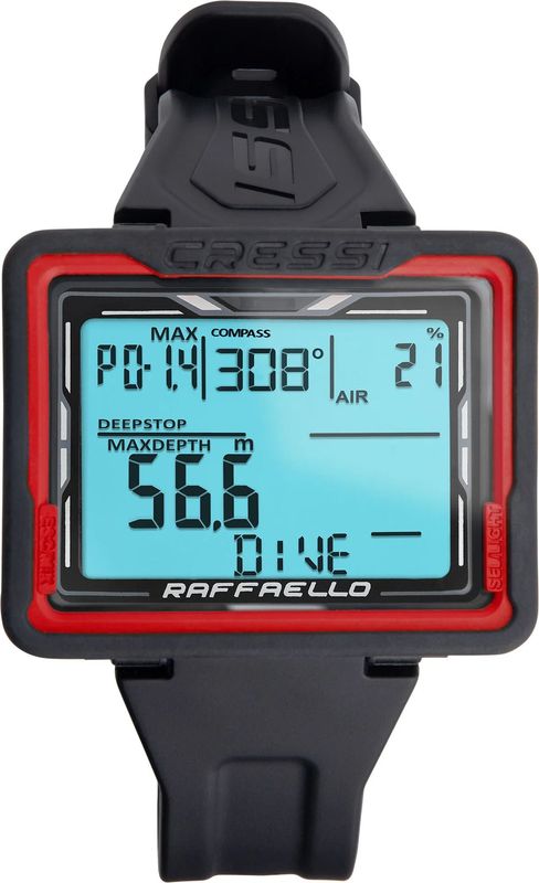 RAFFAELLO ��ե����� �����ӥ󥰥���ԥ塼����