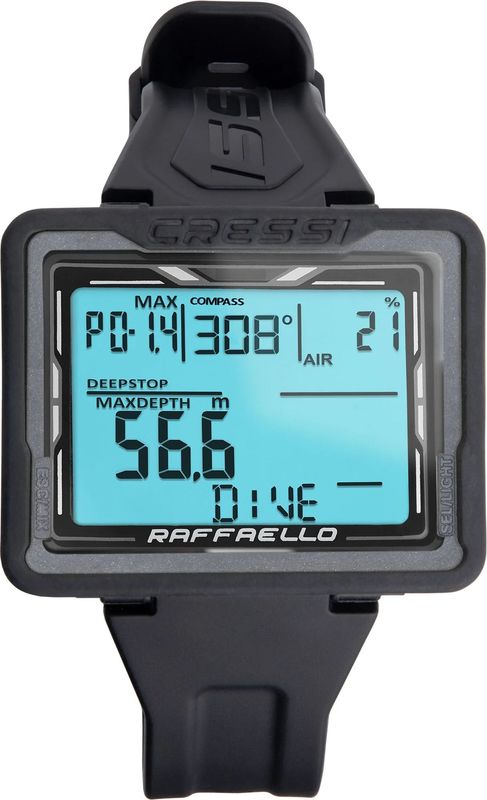 RAFFAELLO ��ե����� �����ӥ󥰥���ԥ塼����