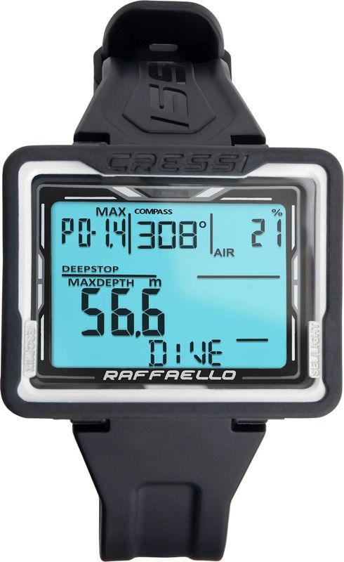 RAFFAELLO ��ե����� �����ӥ󥰥���ԥ塼����