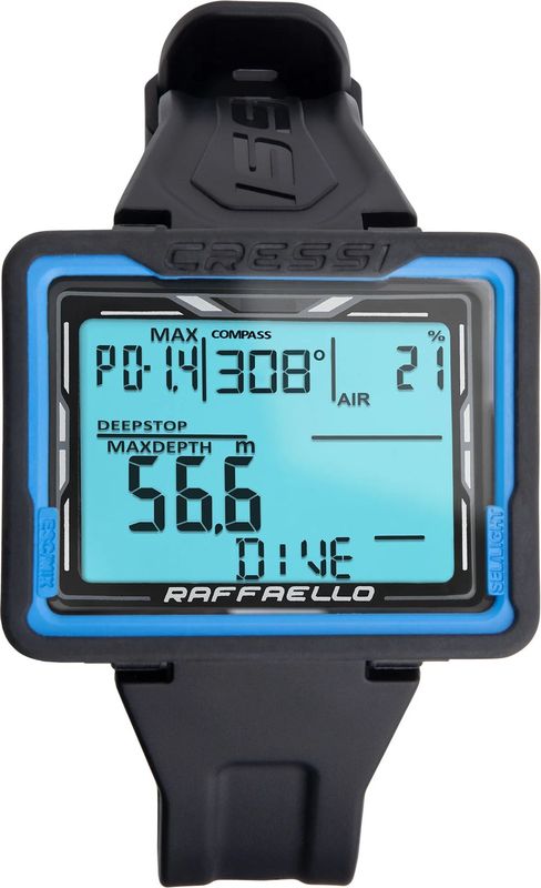 RAFFAELLO ��ե����� �����ӥ󥰥���ԥ塼����