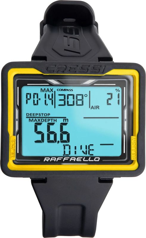 RAFFAELLO ��ե����� �����ӥ󥰥���ԥ塼����