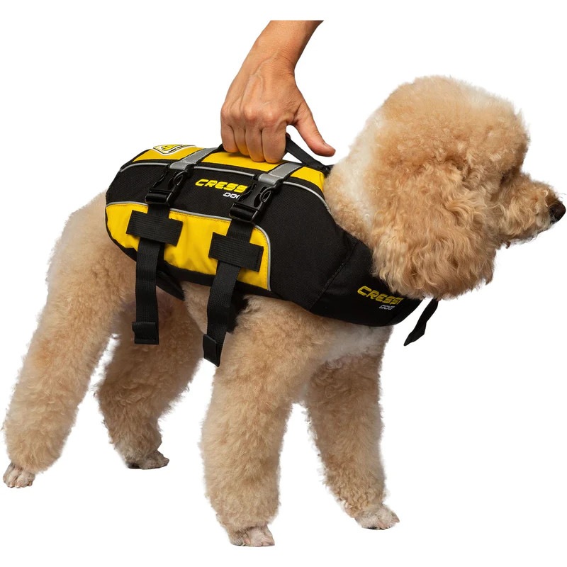DOG LIFE JACKET �ɥå��� �饤�ե��㥱�å�
