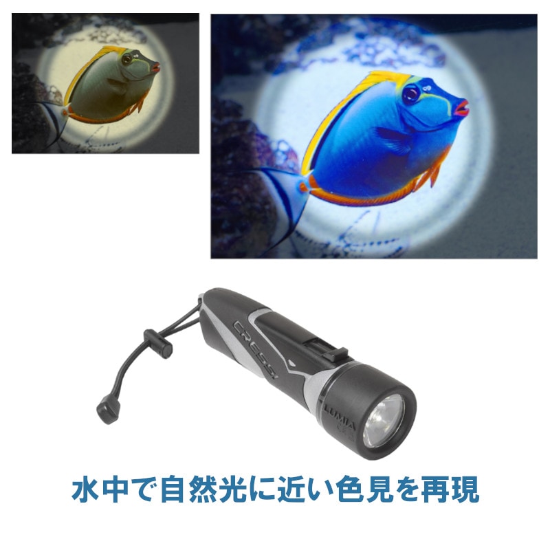 LUMIA+ ��ߥ� �ץ饹 �ȡ���