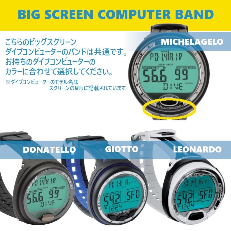 ��괹���� �����å��Х��