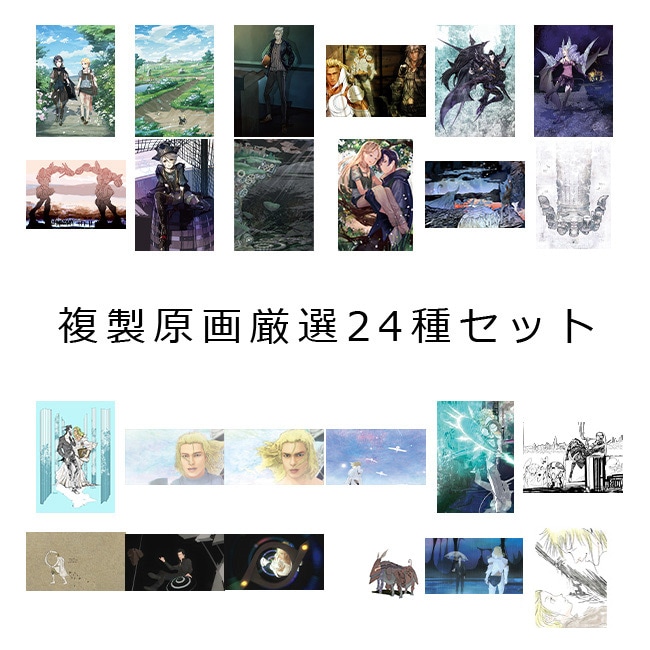 A4ʣ踷24糧åȡڥ륷8ǯǰŸ