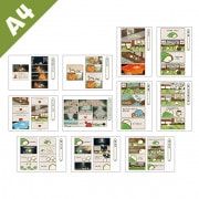 ڤम򤳤ͤŸA4ʣ衡-̡-軰ơJecy