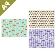 �ڥ��Υ��ǥ������A4ʣ�������N&N��