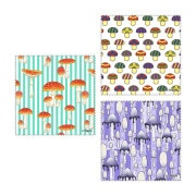 �ڥ��Υ��ǥ�����ۥޥ������ե����С���������N&N��