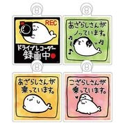 �ڤ����餷����2026�ա�2way���ץ���������4�糧�åȡ��̳�����ä����餷�����