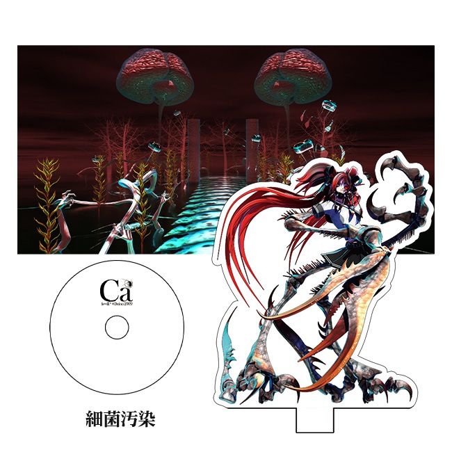 ������륹����ɡ��ط��դ��ˡڥ�����Ÿ����������