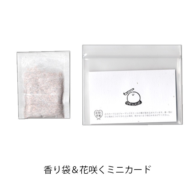 �ڤ��म���򤳤ͤ����Ÿ2024�ۤ䤹�餮���åȡ�Jecy��