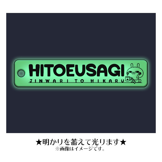 �ҤȤ������� �߸��ץ졼�ȥ����ۥ�����ڤҤȤ���������