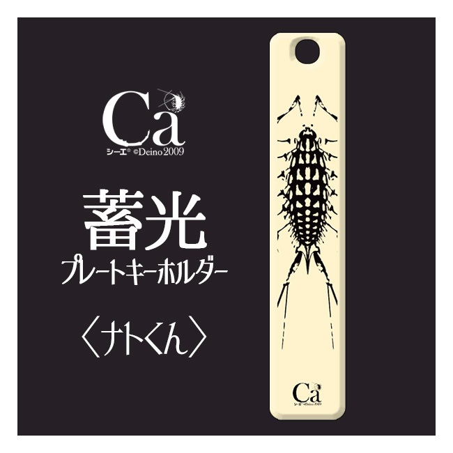 �ʥȤ��� �߸��ץ졼�ȥ����ۥ�����ڥ�������