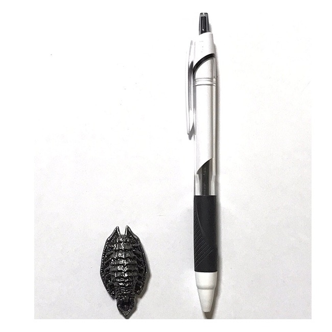 �ڼ��������ۥ��åѡ��ե����奢��ʥȤ����ڥ�����Ÿ����������