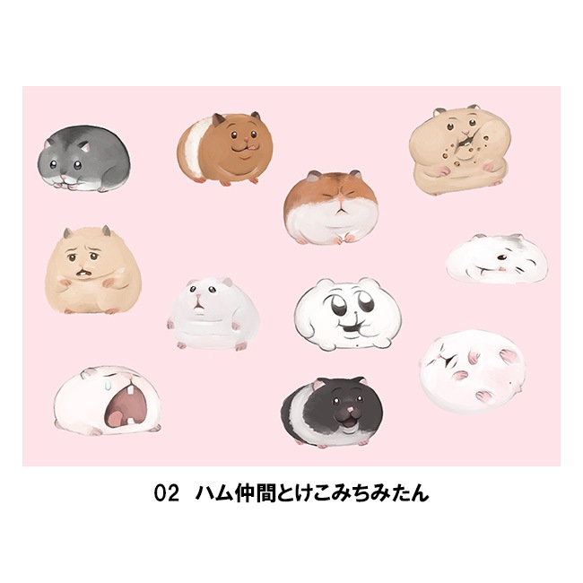 A4ʣ������ڰ����������