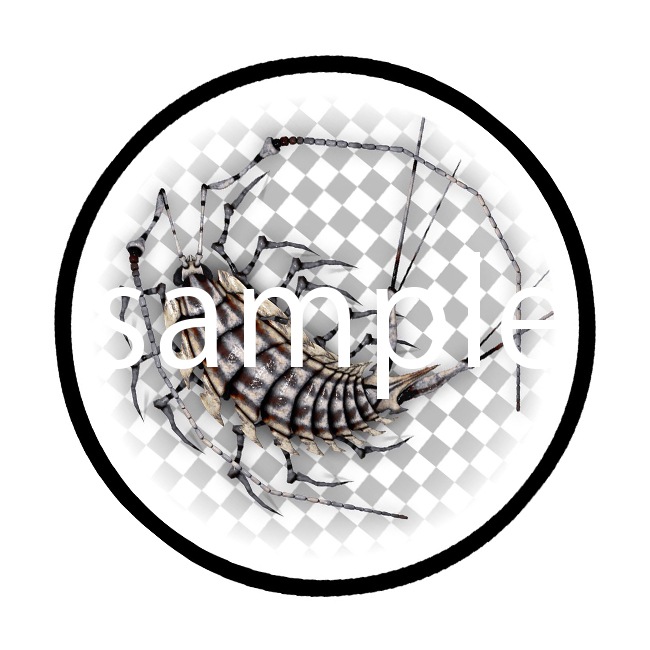 �ʥȤ���إåɥۥ�