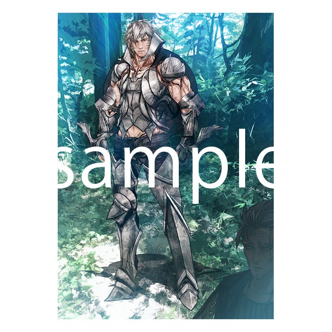 ʣ�������ElShaddai�᥿����