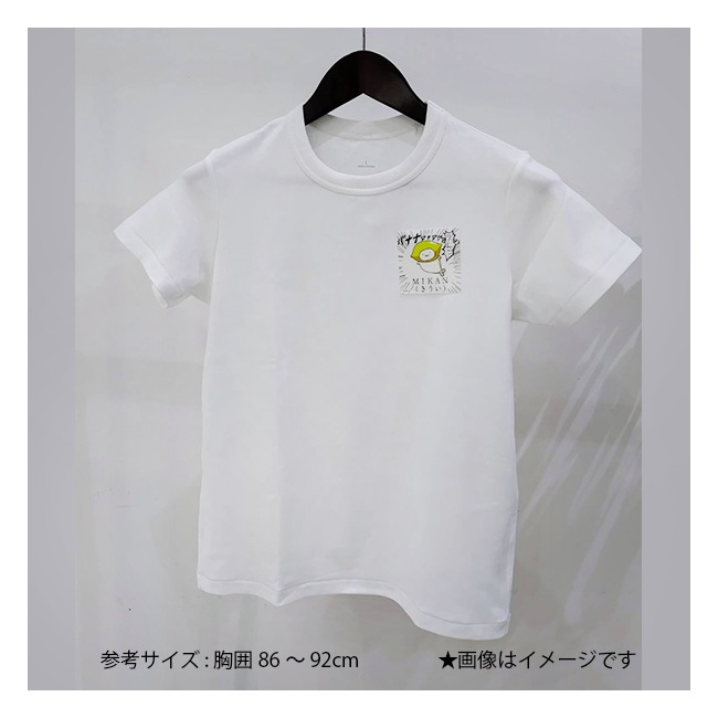 �����餷���� ���ѥ�륹�ƥå��� ��1�ơ��̳�����ä����餷�����