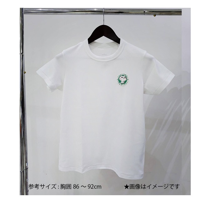 �ҤȤ������� ���ѥ�륹�ƥå����ڤҤȤ���������