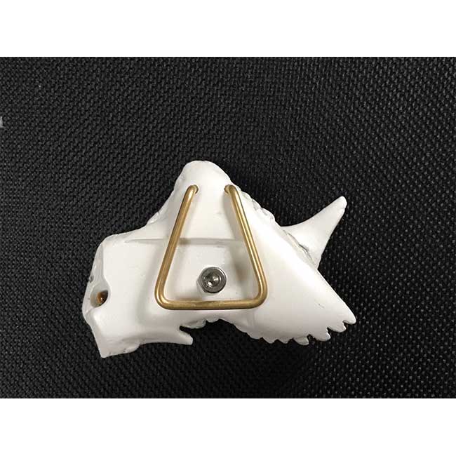 El Shaddai����󥢥������꡼�ڥ��륷�����9��ǯ��ǰŸ��