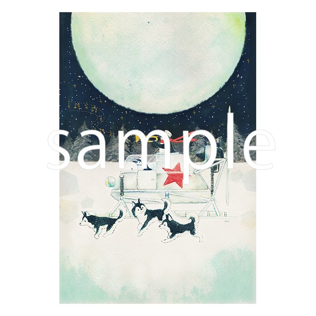 ʣ������1��3������˥ۥ���Ʋ��