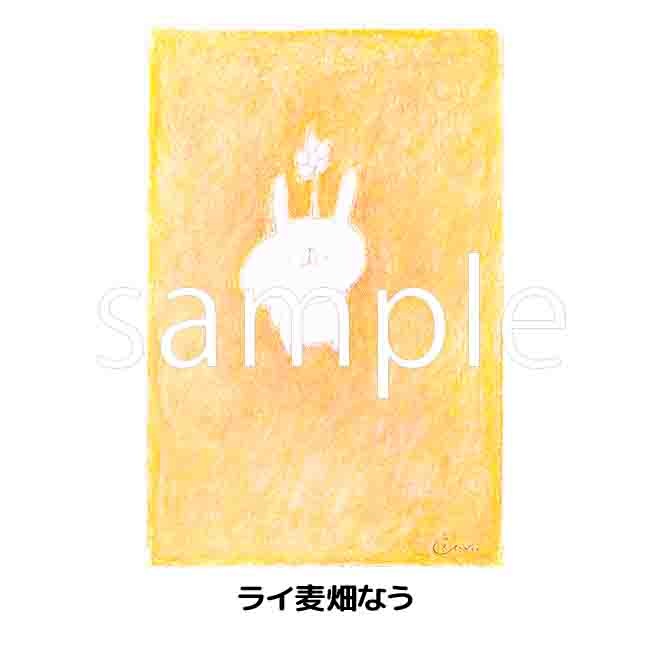 A2���ڥ��ȥ꡼�ڤ���������