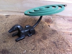 �������᥹����ɡ�Dog��