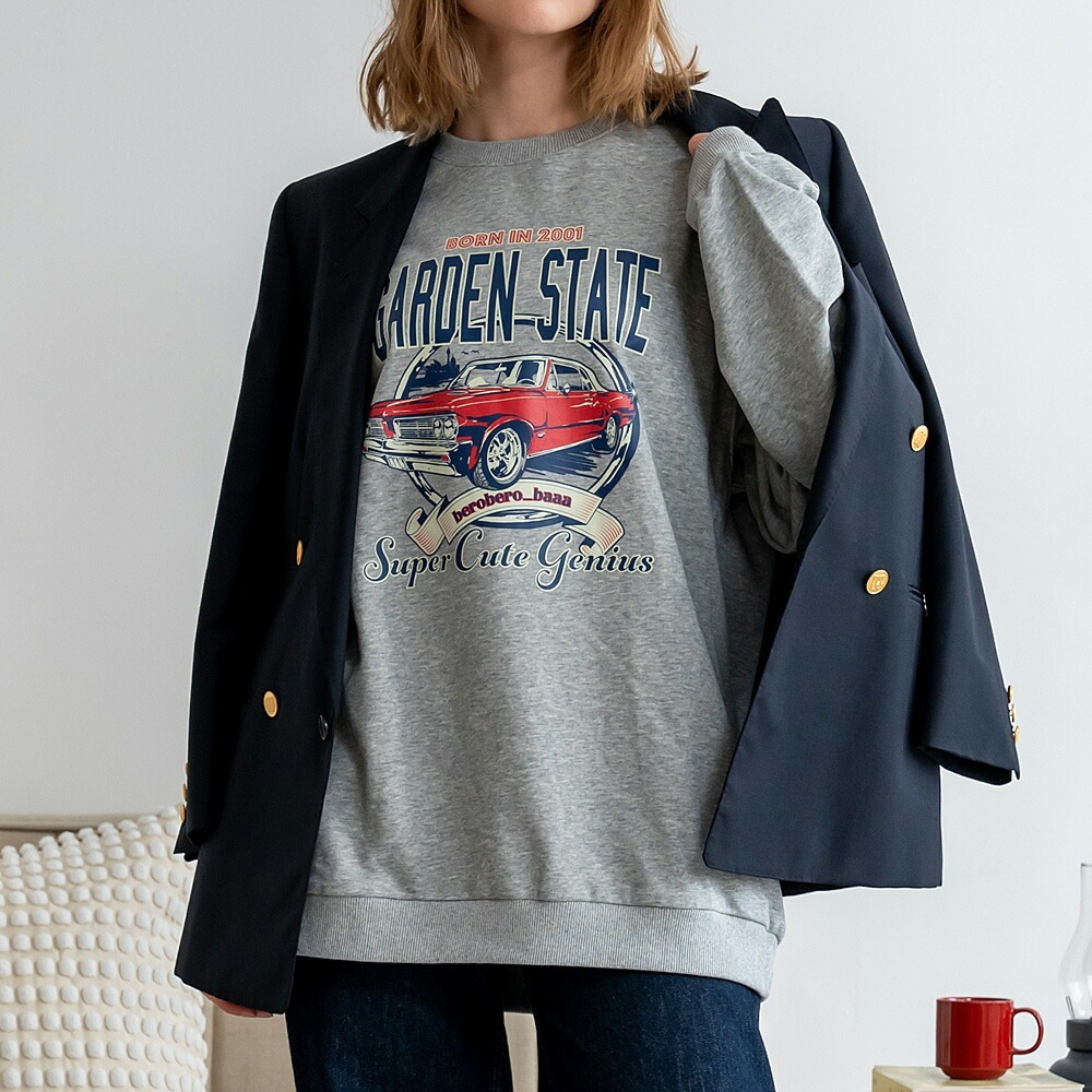 トレーナー レディース プルオーバー メンズ 韓国ファッション 大きいサイズ トップス 秋 冬 ビックシルエット おしゃれ プリント オルチャンファッション 韓国服 長袖 ビッグ プルオーバー ユニセックス