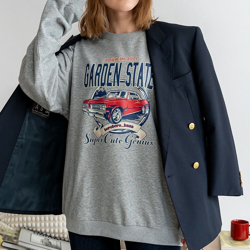 トレーナー レディース プルオーバー メンズ 韓国ファッション 大きいサイズ トップス 秋 冬 ビックシルエット おしゃれ プリント オルチャンファッション 韓国服 長袖 ビッグ プルオーバー ユニセックス