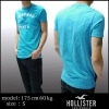 HOLLISTER ۥꥹ      T REDONDO BEACH 饤ȥ֥롼 Ⱦµ  ᥫ  եå ݡ ֥ 奢 ӥơ  ˢ