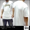 【訳あり・アウトレット】 ステューシー STUSSY メンズ Tシャツ レオパード ホワイト 半袖 stussy tee 豹柄 ロゴ トップス 男性用 ストゥーシー スチューシー インポート ストリート スタイル ブランド HIPHOP ウェアー B系 ウェア アメカジ ヒップホップ ファッション 正規
