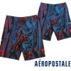 エアロポステール メンズ 水着 スイムパンツ AEROPOSTALE ハーフパンツ マーブル ブルー 9514 ショーツ ショートパンツ ブランド ファッション カジュアル カリフォルニア CALIFORNIA SURF サーフィン サーフ アメカジ セレカジ スタイル 正規