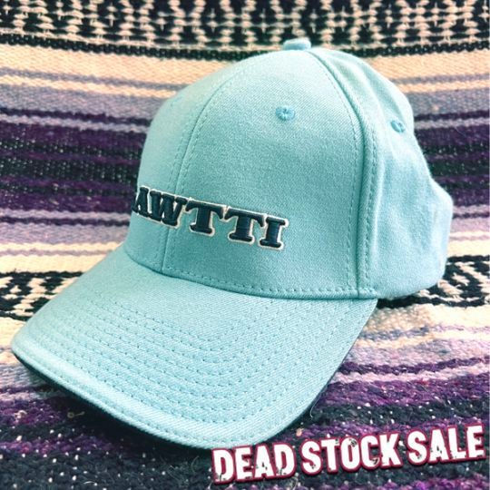 ���ʸ¤� �ǥåɥ��ȥå� �쥢�����ƥ� GAWTTI ���åƥ��� CAP ����å� �饤�ȥ֥롼 L/XL