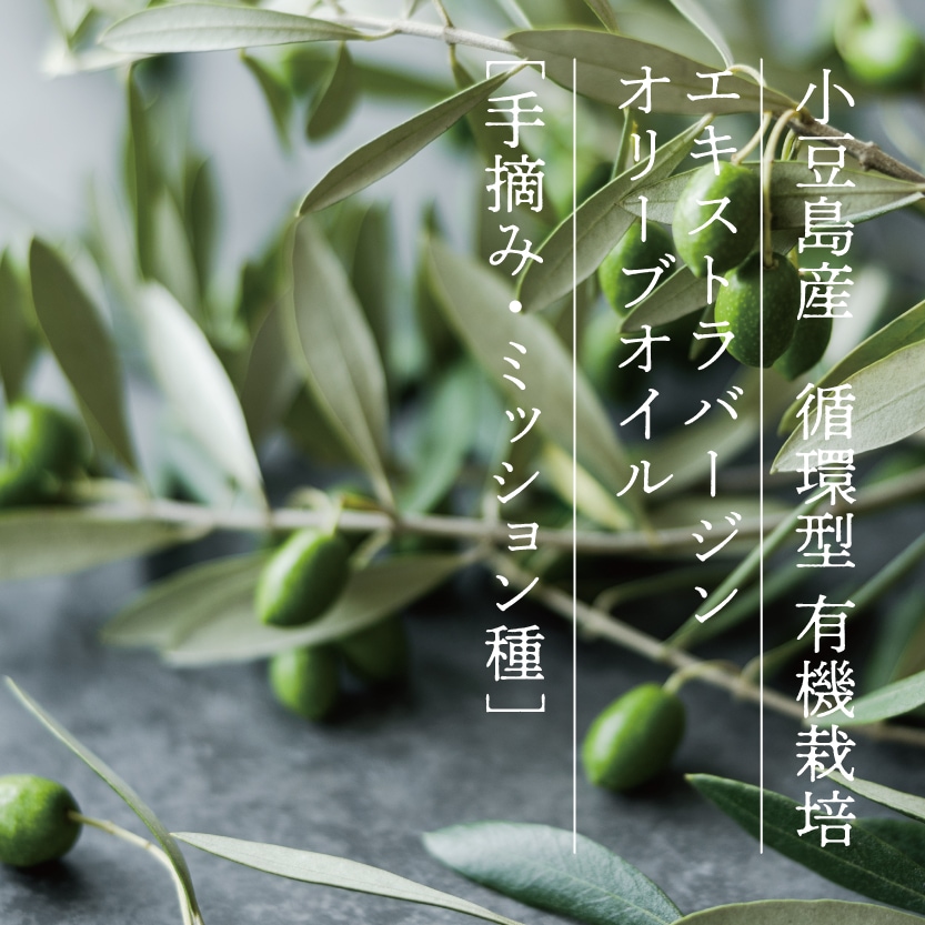 ��2025ǯ�ٻ���ʪ�۾�Ʀ�绺 �۴ķ� ͭ������ �������ȥ�С����󥪥꡼�֥����� [��Ŧ�ߡ��ߥå�����] 182g