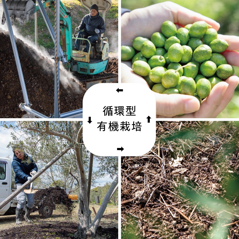 ��2025ǯ�ٻ���ʪ�۾�Ʀ�绺 �۴ķ� ͭ������ �������ȥ�С����󥪥꡼�֥����� [��Ŧ�ߡ��ߥå�����] 182g