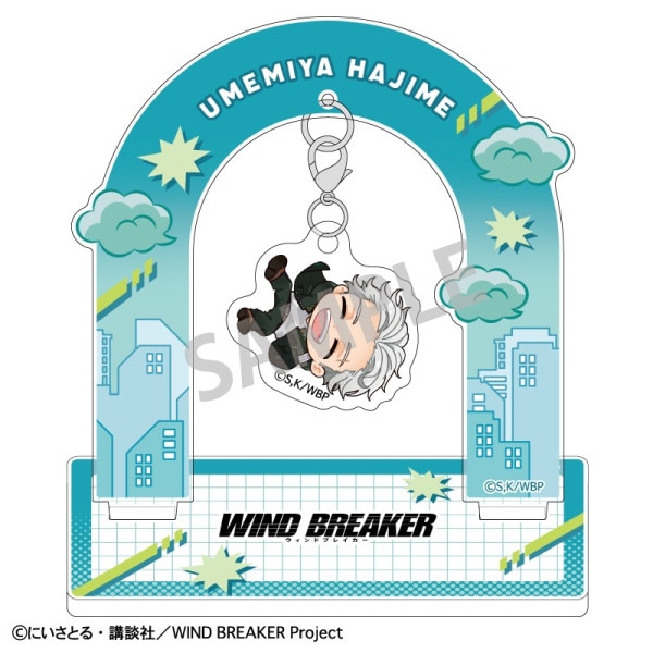 WIND BREAKER֤鲼ꥢ륹ɡߵ 졿ä