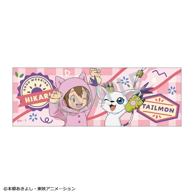八神ヒカリ＆テイルモン(無印) 「デジモンアドベンチャー 缶