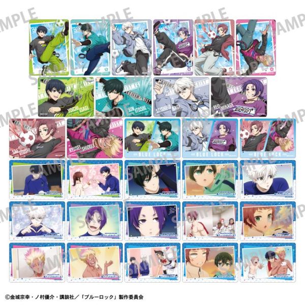 ͽ1ȯۥ֥롼åPicharmХåȥå