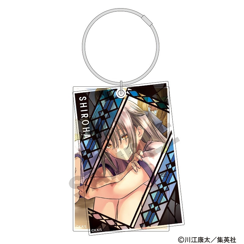 予約商品3月中旬発送】鵺の陰陽師 ワイヤースライドアクリル