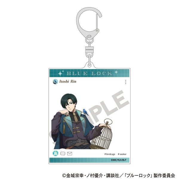 ��ͽ����6���ȯ���ۥ֥롼���å���SNS��������륭���ۥ��������� ��/��������